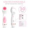 Cleansing Brush Sonic Electric Face Cleanser Waterproof Soft Deep Pore Massage 3 Heads 4 Läges Blackhead Remover Machine 240229