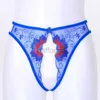 Panties Women's Lace Open Crotch Thong Lingerie Erotic Underwear Women Mesh See-through Thongs Low Waist Crotchless Panties Embroidered G-string W202x ldd240311