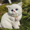 Collari per cani Collana di perle per animali domestici regolabile per gatti Animali Strass moda Collare per gatti Sphynx Gattino Collier Forniture