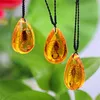 Natural Insect Stone Amber Baltic Pendant Necklace Home Decoration Stone Wedding Travel Gift276T