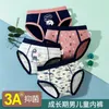 Quality Blue Striped Boys Brief Underwear Kids Stretchy Panties for 3 4 6 8 10 12 14 Years Old Boys Clothes OMGOSH 211122