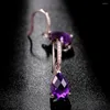 Orecchini pendenti Pietre preziose di ametista Goccia di cristallo viola per le donne Pendientes Regalo di gioielli di lusso alla moda con diamanti color oro rosa