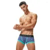 Calzoncillos 2024 Llegada Marca SEOBEAN Bodywear Hombres Low Rise Moda Algodón Gay Boxers Hombres Ropa interior sexy Boxer Shorts