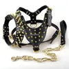 Schwarze Hundehalsbänder mit Spikes, besetztes Leder, für Hunde, Pitbull-Geschirr, Brustumfang 26–34 cm, Halsband-Leine-Set für mittelgroße und große Hunde 282Z
