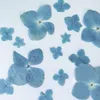 120pcs Pressed Blue Series Dried Hydrangea Macrophylla Flower Plants Herbarium For Jewelry Phone Case Bookmark Making DIY 1026240P