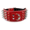 3 inch Wide Spikes Studded Leather Pet Dog Collar for Large Breeds Pitbull Doberman M L XL Sizes Y200515265s