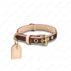2022 Impression de style de popularité avec colliers de chien en métal Laisses de grande taille livrée avec une boîte en cuir fait à la main Designer Dogs Supplies240A