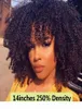 Perruque Bob Lace Frontal Wig naturelle, cheveux humains, Afro, crépus et bouclés, avec frange, densité 250, Full 4B 4C, noir, pour femmes, 6278614