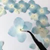 120pcs Pressed Blue Series Dried Hydrangea Macrophylla Flower Plants Herbarium For Jewelry Phone Case Bookmark Making DIY 1026348q