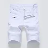 Zomer Heren Jeans Shorts Plooien en Gaten Versierd Shorts Heren Blauw Wit Zwart Blauw Rood Denim Shorts 240227