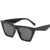 نظارة شمسية UV400 Retro Cat Eye Women Female Temale Vintage Sunglass Black Eyewear بيع نظارات الشمس 2024