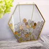 Ramar Piggy Bank Hexagonal Coin Display Picture Frame Retro Glass Transparent vägg hängande dekor