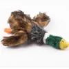 Joli chien jouets animal de compagnie chiot à mâcher en peluche animaux de bande dessinée écureuil coton corde forme de boeuf morsure jouet canard en forme de grincement jouets GA6662284