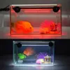 Aquarium Lighting UK Wtyczka Akwarium Akwarium LED LED LIGALNE LIGATY BARBY SMD RGB LAMP BASE RAMOTE254X