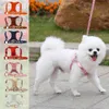 Hundegeschirr Weste Leder Leine Rosa Gold Silber Kleines Halsband für Terrier Schnauzer Haustier Katze Verstellbarer Riemen Gürtel für 210911231q