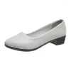 Elbise ayakkabıları 2024 Kadın İlkbahar/Yaz Orta Topuk Kalın Deri Anti Slip Uçuş Görevlisi Siyah Rahat Günlük
