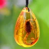 Collana con ciondolo in ambra baltica con pietra naturale per insetti, decorazione per la casa, regalo di viaggio per matrimoni in pietra262e