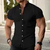 Men's Casual Shirts Stand Collar Shirt Solid Color Stylish Cardigan For Summer Business Wear