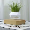 Magnetisk upphängning Flower Levitating Air Bonsai Pot Plant Succulent Patio Dekoration Desktop Flower Green C11112396