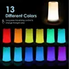 Lamps Shades Wood Grain 13 Color Changing Night Light Remote Touch USB Rechargeable RGB Dimmable Portable Table Bedside Ambience Light L240311