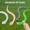 Infrared Remote Control Snake Toy For Cat with Egg Rattlesnake Interactive Snake Cat Teaser Play Toy Children Funny Novelty Gift 240229