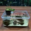 Plastic Transparent Fish Tank Insect Reptile Breeding Feeding Box Large Capacity Aquarium Habitat Tub Turtle Tank Platform2128