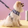 Ensemble poitrine et dos pour chien à la mode, sangle pour animal de petite et moyenne taille, laisse pour chien, fournitures pour animaux de compagnie