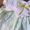 Vestidos de menina Vestido de menina saia bordada libélula verde claro