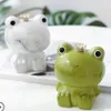 Nordic ins wind porch bedroom change storage creative personality cute little animal ceramic frog piggy bank2991