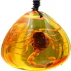 Natuurlijke Insect Steen Amber Baltische Hanger Ketting Woondecoratie Steen Bruiloft Reizen Gift262e