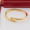 Diseñador Mujer Hombres Pulsera de oro Joyería de uñas Pulsera de titanio Brazalete con pulseras de destornillador Día de Acción de Gracias Boda Regalo de rosa de plata 6 mm