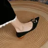 Модельные туфли FHANCHU 2024, повседневные женские леопардовые туфли с острым носком, женские туфли на низком каблуке с мягкой подошвой без шнуровки, черные, Прямая поставка