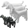 Söt ny PVC läderhund torsos hundmodeller hund mannedocka läder mannequin svart vit stående position modeller hundar husdjur leksak 1set297f