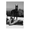 Helmut Newton Cindy Crawfor POGRAPHY Målning Poster Print Home Decor inramad eller oramat Popaper Material313p