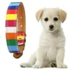 Kleurrijke regenboog canvas lederen hond ketting verstelbare gesp kraag dierbenodigdheden2502