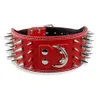 Hundhalsar Leases Inch Wide Spikes Studded Leather Pet Collar för stora raser Pitbull Doberman M L XL SIZESDOG258B