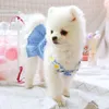 Ubierz mini niebieską sieć Słońce koronkowe wiosenne letnie ubrania na małą imprezową spódnicę dla psów Puppy Costume Costume Pets Stroje LJ200923201H