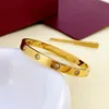Designer Woman Men Gold Armband Nail Jewelry Titanium Armband Bangle With Screwdriver Armband Thanksgiving Day Wedding Silver Rose Gift 6mm