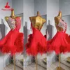 Stage Wear Vestito da spettacolo di danza latina per le donne AB Pietre Piuma Rumba Chacha Tango Gonna da competizione Gonne da ballo per bambini adulti