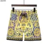 Waterdichte broek in designerstijl Zomerstrandbroek Herenshorts Surfzwemmen Sport