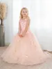 Robes de fille robe de fleur rose pour le mariage sans manches col rond Tulle gonflé avec papillon à motifs fête d'anniversaire princesse robe de bal