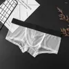 Sous-vêtements pour hommes, sous-vêtements ultra fins en maille transparente, slips respirants, culotte taille moyenne, Boxershorts, Lingerie Gay