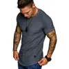 Primavera e verão em torno do pescoço fino-ajuste plissado casual curto juventude moda base camisa esportiva masculina manga rotadora