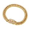 Diamond Golden Pet Chain Necklace 16mm واسعة من الفولاذ المقاوم للصدأ الياقات دوبرمان بولدوغ Pug Puppy Supplies314a