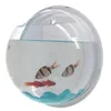 Tigela de peixes acrílico parede pendurado tanque de aquário aquático suprimentos para animais de estimação produtos montar mini casa transparente pote planta 240226