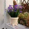 Söt ansiktsplantare Pot Planting Container harts Vägg Blomkruta Växtskålar Succulent Pots Nursery Supplies Garden Decor 240304