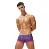 Calzoncillos 2024 Llegada Marca SEOBEAN Bodywear Hombres Low Rise Moda Algodón Gay Boxers Hombres Ropa interior sexy Boxer Shorts