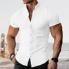 Men's Casual Shirts Stand Collar Shirt Solid Color Stylish Cardigan For Summer Business Wear