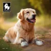 Truelove Ademende hondenschoenen met TPR-zool Flexibele beschermbare zachte buitenzool Klassieke outdoorlaarzen Alle rassen 4 stuks TLS3962 240228