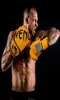 SOTF gants de boxe Viper Tiger Muay Thai Mma combat PU karaté Sanda Pad boîte 2202224593536